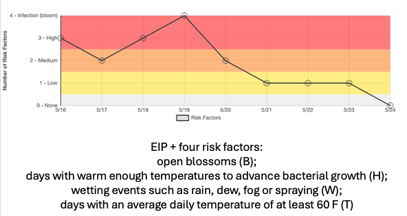 Graph showing the number of fire blight risk factors from May 16&ndash;24, with values ranging from none to infection-level risk. The line peaks at four risk factors on May 19 during bloom, then declines steadily to zero by May 24. Colored background bands indicate increasing risk levels, and text below the graph explains the four contributing factors: open blossoms, warm temperatures for bacterial growth, wetting events, and average daily temperatures of at least 60 F.